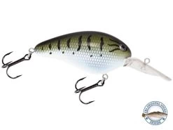 Dive Master 14 20 Dive Master 14 -Fishing Tackle Shop 0ZogH6Mzeu3IAzYfkA9B2Iv g