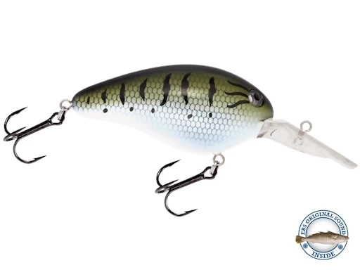 Dive Master 14 11 Dive Master 14 - Image 9