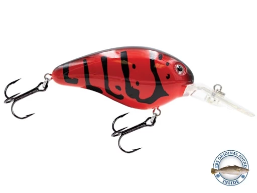 Dive Master 14 4 Dive Master 14 - Image 2