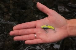 SteelShad Mini - 1/4 Oz - Yellow Shad (2pk) -Fishing Tackle Shop 43it4z7rbam8E7KcZof0oTFno