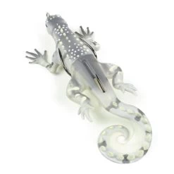 Skitter Lizard -Fishing Tackle Shop 5MXPRNM2m74TgAT8iYyWJMPdU