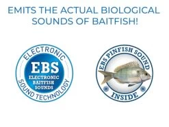 Big Poppa 6 -Fishing Tackle Shop 7opNABmmpjYM7ulxlR30praU8