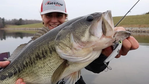 SteelShad Mini - 1/4 Oz - Silver (2pk) 16 SteelShad Mini - 1/4 Oz - Silver (2pk) - Image 14