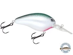 Dive Master 14 21 Dive Master 14 -Fishing Tackle Shop AHj rV8tA6 JHX23Ih2K5QiQc