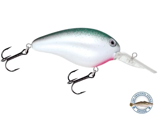 Dive Master 14 12 Dive Master 14 - Image 10