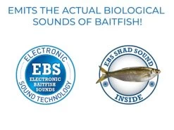 FlatSide 50 17 FlatSide 50 -Fishing Tackle Shop B1n1cNL8cMQnlkNfIlz4XlxSY 1