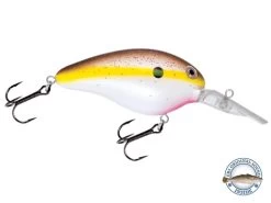 Dive Master 14 18 Dive Master 14 -Fishing Tackle Shop BXpXbwT3Z9 WqVOqgen1aDArU