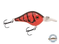 Shredder 53 21 Shredder 53 -Fishing Tackle Shop Bk73tg5QuUV8CnbHX4ggfqto