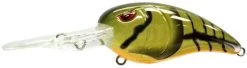 Spro RkCrawler MD 55 -Fishing Tackle Shop CGWFFKuJx9EW4YiAKD1Gxi jc