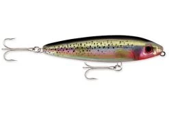 Rapala - Saltwater Skitter Walk -Fishing Tackle Shop Cth6NOSxxyemqJ56gkxeMZpVI