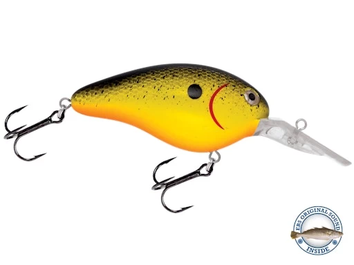 Dive Master 14 3 Dive Master 14