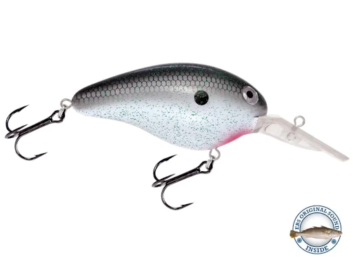 Dive Master 14 7 Dive Master 14 - Image 5