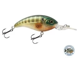 Deep Impact 6 -Fishing Tackle Shop FIqlyQ8BalU ysTBpqngY zCs