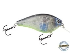 Primetyme SQ 2.0 16 Primetyme SQ 2.0 -Fishing Tackle Shop FsycrG15EoM2HdfHAECSh1kl0