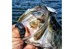 GoFish Fishing Line Cutter Ring -Fishing Tackle Shop Gn1eB0dT0EilA6RTGmar1uUwE