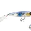 Pro Sizzle Jr -Fishing Tackle Shop H7ZY7hFsfxNItxXOPP7 fdofw