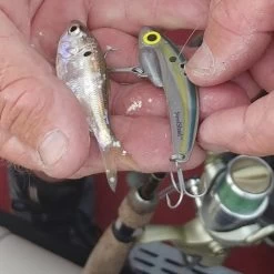 SteelShad Mini - 1/4 Oz - Sexy Shad (2pk) 31 SteelShad Mini - 1/4 Oz - Sexy Shad (2pk) -Fishing Tackle Shop I2tbG8Fbky2mibb8E1rJ 9aOs
