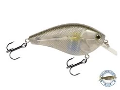 Primetyme SQ 2.0 17 Primetyme SQ 2.0 -Fishing Tackle Shop I80BzS1CztR3HXyAwuqeJwn34