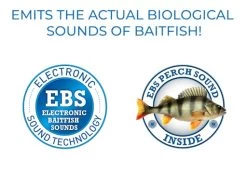 Sale Item - EBS Spinner 158 -Fishing Tackle Shop KASIUA4p8YcCb2gFfUShiOvPA