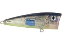 Walk N Pop 67 -Fishing Tackle Shop KNUM8FMa 1JyogSidyteRcy w