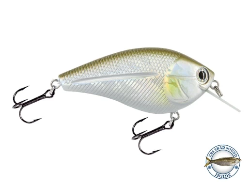 Primetyme SQ 2.0 9 Primetyme SQ 2.0 - Image 7