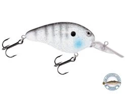 Dive Master 14 14 Dive Master 14 -Fishing Tackle Shop MmvOtmPGxiJ0tOooTuF UP3 c