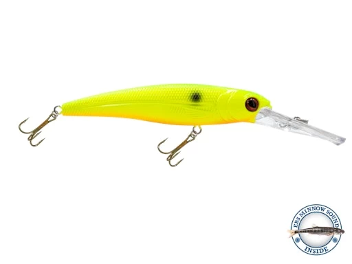 Voyager 15 Walleye 3 Voyager 15 Walleye