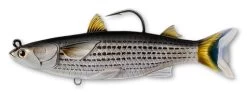 Mullet Swimbait