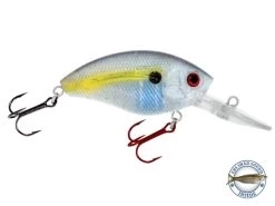 Howeller DMC -Fishing Tackle Shop QWQlp4YuVE93VbQQ22zP XlEo
