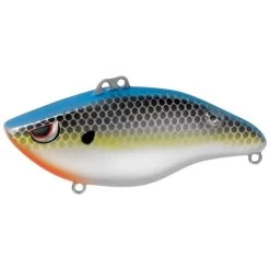 Spro Wameku Shad 70 -Fishing Tackle Shop QoF3I7G1aKIjS3d50G60t7oRQ