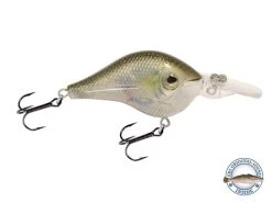 Shredder 53 16 Shredder 53 -Fishing Tackle Shop R6CKn FtO8OkziK9KIZud9miA