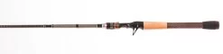 Favorite Big Sexy Casting Rod 13 Favorite Big Sexy Casting Rod -Fishing Tackle Shop ROpS1DG7 xqHwuLySj5FuMIVE