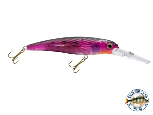 Voyager 15 Walleye 8 Voyager 15 Walleye - Image 6