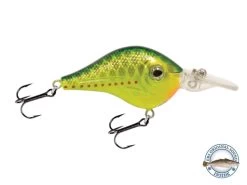 Shredder 53 17 Shredder 53 -Fishing Tackle Shop TImcl9fGmkoTe8uwoRskP58ng