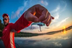 SteelShad Mini - 1/4 Oz - Sexy Shad (2pk) 27 SteelShad Mini - 1/4 Oz - Sexy Shad (2pk) -Fishing Tackle Shop VzpBv9QsiCcwWGD6ScJnf1VXg