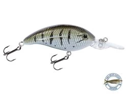 Deep Impact 6 -Fishing Tackle Shop WD8GaHl9ijpXYfHJLF keEoVk