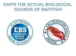 FlatSide 50 14 FlatSide 50 -Fishing Tackle Shop WGk i1uk0n6tjGYrido1hZxA4