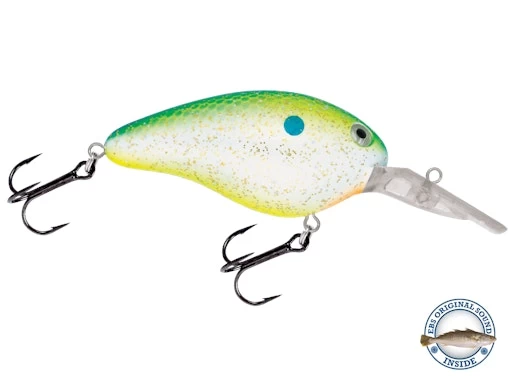 Dive Master 14 8 Dive Master 14 - Image 6