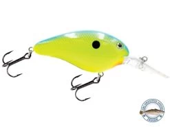 Dive Master 14 19 Dive Master 14 -Fishing Tackle Shop Xfnt92sRY7UvtDeVFs AghHu8