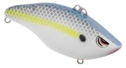 SPRO - Wameku Shad 70 Lipless Crankbait -Fishing Tackle Shop Y0ACYLWd0bZdlfk7WV4TW6hZE