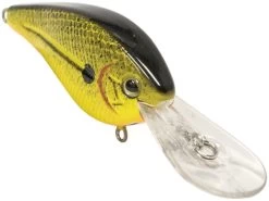 FlatMaster -Fishing Tackle Shop YN99wEcy8rAVVtfDNrfdY1 Vw