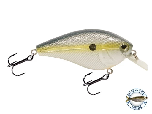 Primetyme SQ 2.0 4 Primetyme SQ 2.0 - Image 2