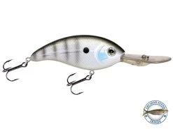 Deep Impact 18 -Fishing Tackle Shop cTc7FRiaK A9E RCLQb2DVLK4