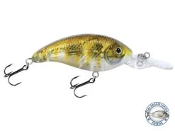 Deep Impact 6 -Fishing Tackle Shop cX4y AqCcpXgv8v94FHKGfIH0