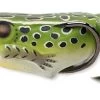 Hollow Body Frog Popper -Fishing Tackle Shop eEEg5Xvij1uB3vbOd6X6C TdM