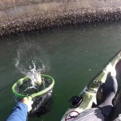 Line Cutterz Pro Fish Gear Lunker Snatcher Floating Net 21 Line Cutterz Pro Fish Gear Lunker Snatcher Floating Net -Fishing Tackle Shop frMEZPlDJzaVZb6JmKyXL4ApE