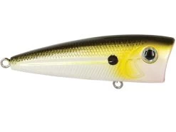 Walk N Pop 67 -Fishing Tackle Shop gFmKH3Khv0PH 5cCUy4I9XkBg