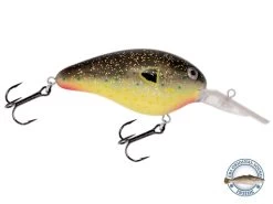 Dive Master 14 15 Dive Master 14 -Fishing Tackle Shop gSJTEogxhzLBn8PYBiOUloyWc