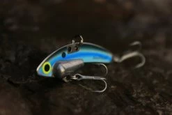 SteelShad Mini - 1/4 Oz - Kentucky Shad (2pk) -Fishing Tackle Shop hDjsnzqC bASTwkyencsb5tLE