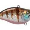 Z-Series Lipless Crankbait -Fishing Tackle Shop hKgFFkvud1CMiSpFeeOIfRB0Y